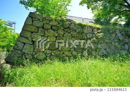 山城国「淀城」本丸の石垣と堀 115894623