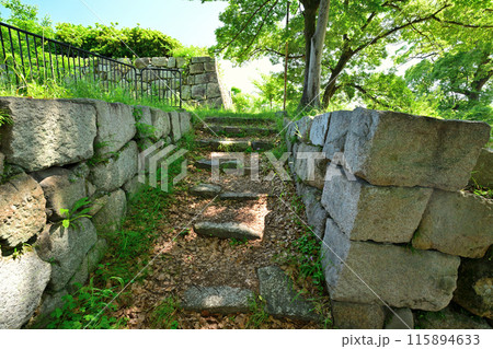 山城国「淀城」本丸の石垣と堀 山城国「淀城」本丸の石垣と堀 115894633