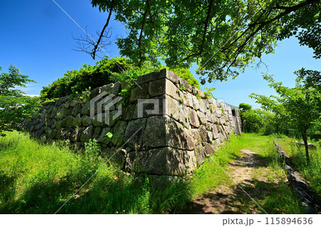 山城国「淀城」本丸の石垣と堀 115894636