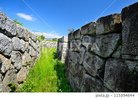 山城国「淀城」本丸の石垣と堀 115894644