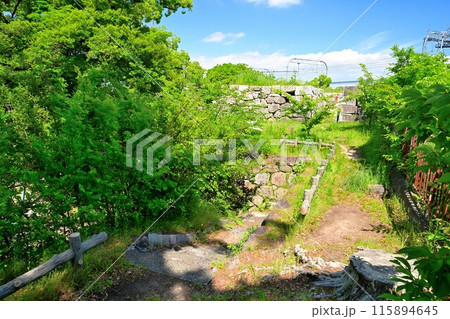 山城国「淀城」本丸の石垣と堀 115894645