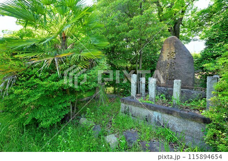 山城国「淀城」本丸の石垣と堀 山城国「淀城」本丸の石垣と堀 115894654