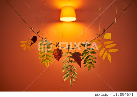 Bright orange autumn background with a garland of dry leaves with space for text. 115894671