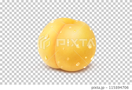 金桃插畫現實白色背景 金桃插畫現實白色背景 115894706
