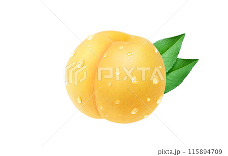 黄金桃 イラスト リアル 白バック 115894709