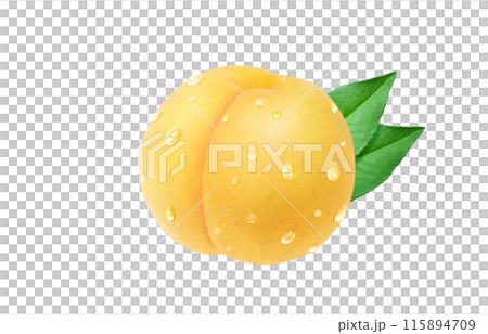 黄金桃 イラスト リアル 白バック 115894709