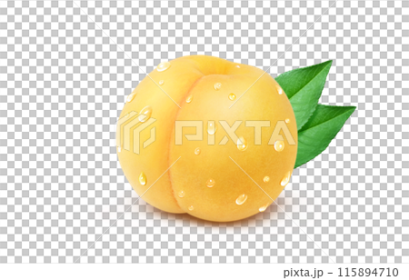 黄金桃 イラスト リアル 白バック 115894710