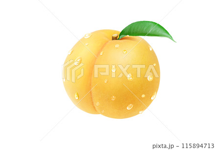 黄金桃 イラスト リアル 白バック 115894713