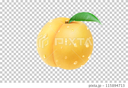黄金桃 イラスト リアル 白バック 115894713