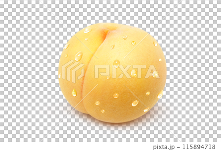 黄金桃 イラスト リアル 白バック 115894718