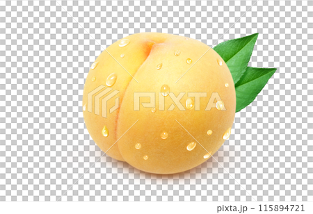 黄金桃 イラスト リアル 白バック 黄金桃 イラスト リアル 白バック 115894721