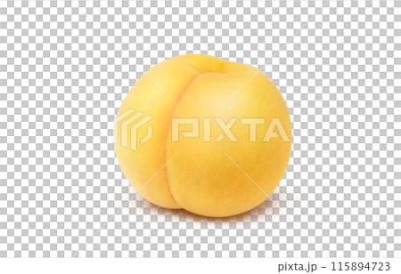 黄金桃 イラスト リアル 白バック 115894723