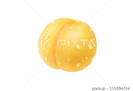 黄金桃 イラスト リアル 白バック 黄金桃 イラスト リアル 白バック 115894724