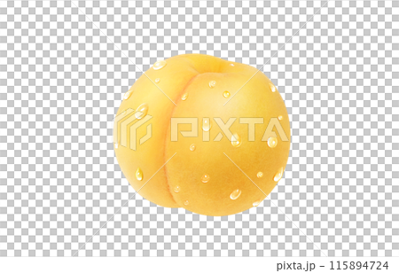 黄金桃 イラスト リアル 白バック 黄金桃 イラスト リアル 白バック 115894724