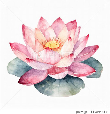 ピンクのハスの花 115894814