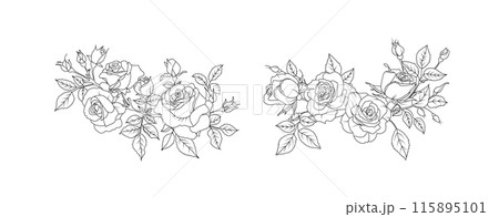 Rose flower arrangement line art on white background. Silhouette roses botanical hand drawn element for wedding, invitation frame design, vector illustration 115895101