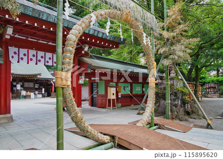 大國魂神社 神社 茅の輪 夏越祓 夏越の祓 厄払いけ 大國魂神社 神社 茅の輪 夏越祓 夏越の祓 厄払いけ 115895620