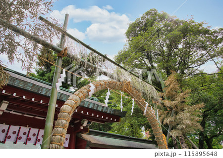 大國魂神社　神社　茅の輪 　夏越祓 　夏越の祓　厄払いけ 115895648