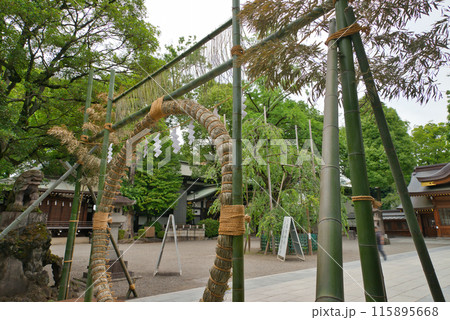 大國魂神社　神社　茅の輪 　夏越祓 　夏越の祓　厄払いけ 115895668