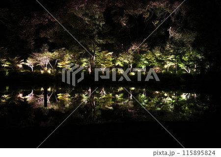 別府市　夜の海地獄 115895824