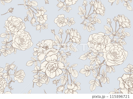 Rose flowers. Outline vector. Rose flowers. Outline vector. 115896721