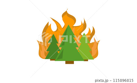 Fire in the forest, forest fire, burning forest, forest fire with burning trees, wildfire 115896815