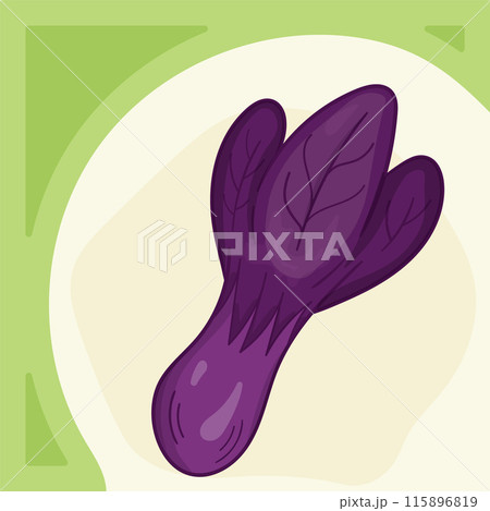 Red cabbage Bok choy square templates for social media posts. Design for kale day, healthy food day. Red cabbage Bok choy square templates for social media posts. Design for kale day, healthy food day. 115896819