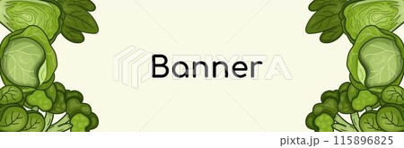 Green banner vector different types cabbage. Background horizontal for harvest, vegetables, organic. Green banner vector different types cabbage. Background horizontal for harvest, vegetables, organic. 115896825