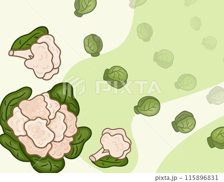 Green banner horizontal vector with cauliflower and brussels sprouts. Background for harvest organic Green banner horizontal vector with cauliflower and brussels sprouts. Background for harvest organic 115896831