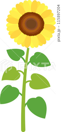 夏のシンプルなひまわりの花のイラスト 夏のシンプルなひまわりの花のイラスト 115897204