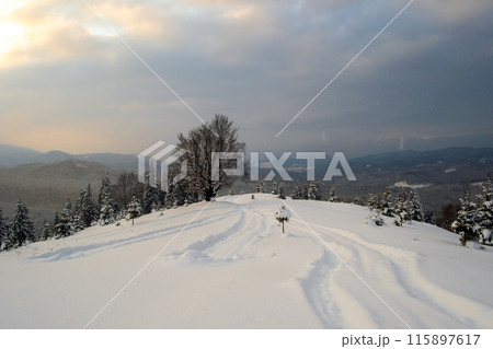 Moody landscape with footpath tracks and dark bare trees covered with fresh fallen snow in winter mountain forest on cold misty morning. Moody landscape with footpath tracks and dark bare trees covered with fresh fallen snow in winter mountain forest on cold misty morning. 115897617