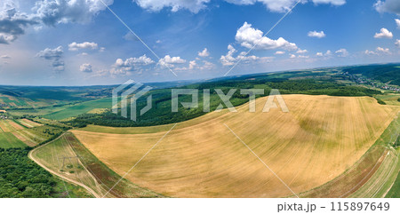 Aerial landscape view of yellow cultivated agricultural fields with ripe wheat and green woods on bright summer day Aerial landscape view of yellow cultivated agricultural fields with ripe wheat and green woods on bright summer day 115897649