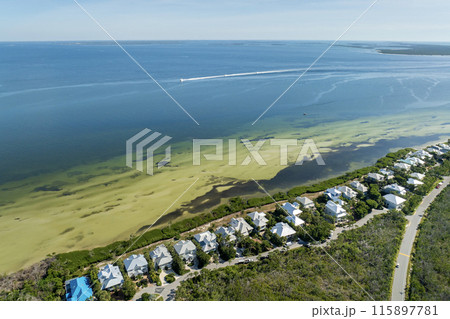Expensive waterfront houses between green palm trees in Boca Grande, small town on Gasparilla Island in southwest Florida. Premium housing development in the USA 115897781