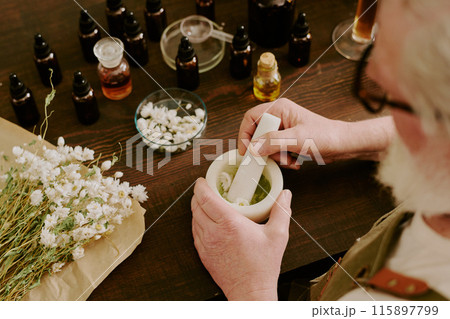 Mature perfumer crushing dried daisies in ceramic mortar with white ceramic pestle, he sitting at work desk with different essence in brown glass bottles 115897799