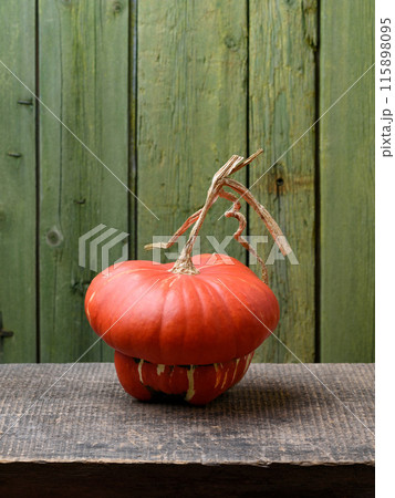 Turban Squash or Turks Turban Pumpkin on an Old Wooden Table 115898095