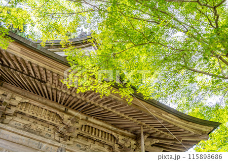 中尊寺　弁慶堂　もみじ　義経・弁慶の木像を安置　堂内の格天井には60種余りの草花が描かれています 115898686