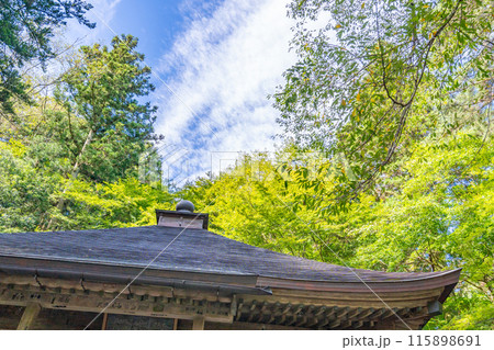 中尊寺　経蔵　平安時代の彩色文様が確認できる 115898691