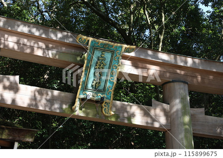 鳥居に囲まれた神社三輪明神 鳥居に囲まれた神社三輪明神 115899675