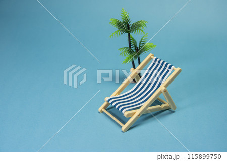 夏のバカンスのイメージ素材 115899750