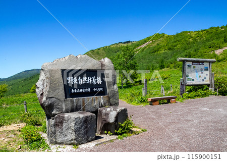 野反峠の駐車場 野反湖 野反峠の駐車場 野反湖 115900151