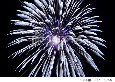 鳥取　四季の散歩　夏　花火 115900200