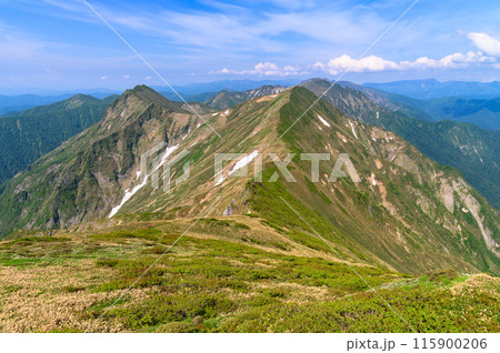 初夏の谷川連峰・主稜線の山並み 初夏の谷川連峰・主稜線の山並み 115900206