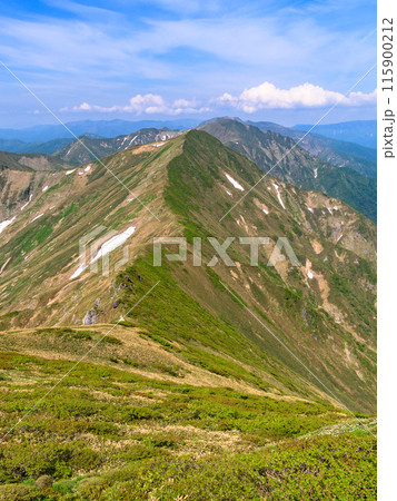 初夏の谷川連峰・主稜線の山並み 初夏の谷川連峰・主稜線の山並み 115900212