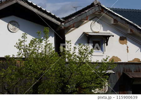 鳥取　四季の散歩　用瀬の流し雛 115900639