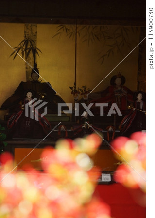 鳥取　四季の散歩　用瀬の流し雛 115900730