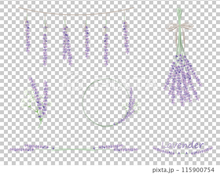 Natural lavender illustration material set 115900754