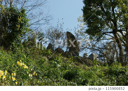 鳥取　四季の散歩　用瀬の流し雛 115900852