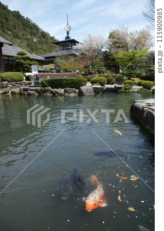 鳥取 四季の散歩 用瀬の流し雛 鳥取 四季の散歩 用瀬の流し雛 115900985
