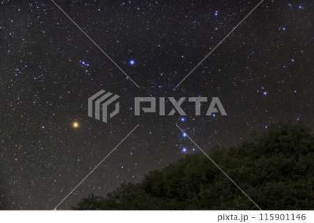 秋の星空　昇るオリオン座 115901146