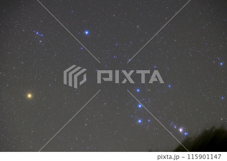 秋の星空 昇るオリオン座 秋の星空 昇るオリオン座 115901147